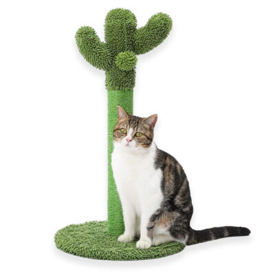 Drapak CactuScratcher