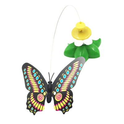 Zaczarowany Motyl dla Kota
