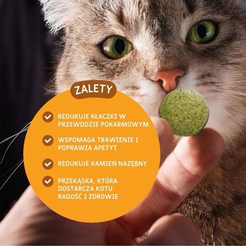Kuleczki kociej trawy GrassMunchies - 40g - obrazek 2