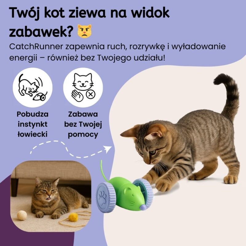 Uciekająca myszka CatchRunner - obrazek 2