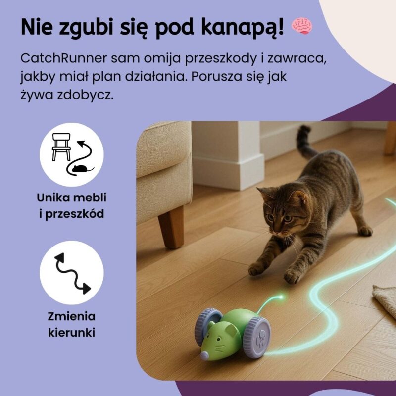 Uciekająca myszka CatchRunner - obrazek 3