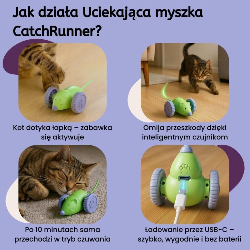 Uciekająca myszka CatchRunner - obrazek 4