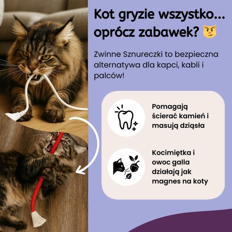 Zwinne Sznureczki dla kota - obrazek 2