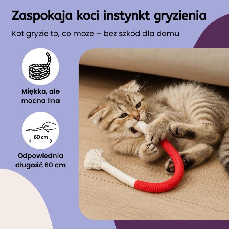 Zwinne Sznureczki dla kota - obrazek 3