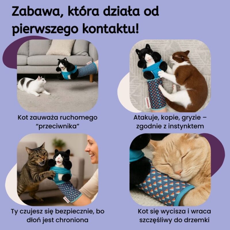 Koci Zapaśnik BattleBuddy - obrazek 4