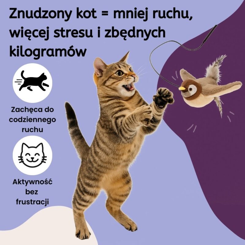 Skrzydlaty ptaszek SkyHunter dla kota - obrazek 2