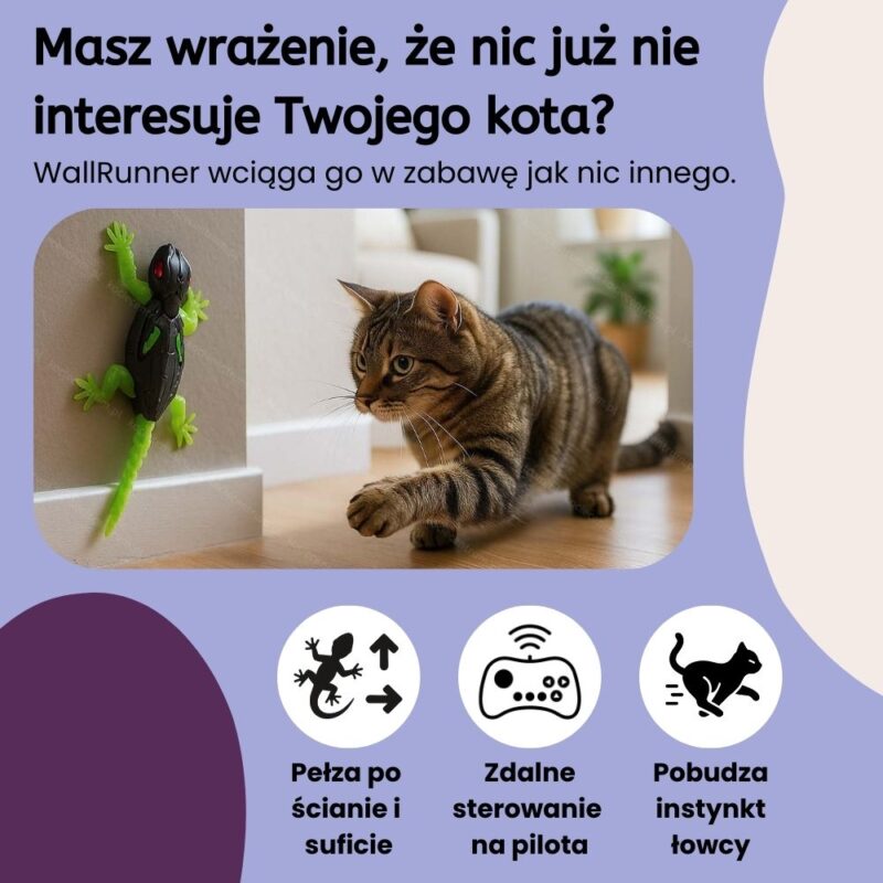 Koci Gekon WallRunner - obrazek 2