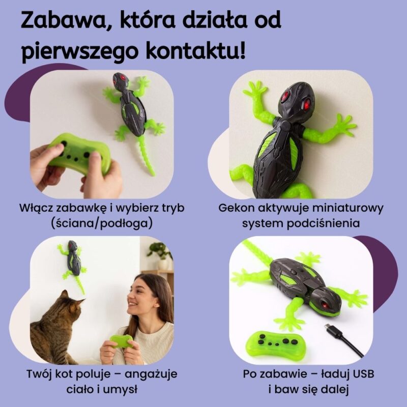 Koci Gekon WallRunner - obrazek 3