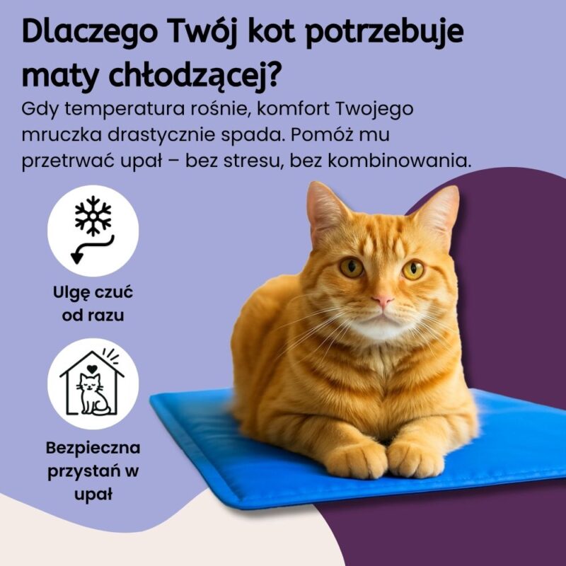 Kocia Oaza ChillSpot - obrazek 2