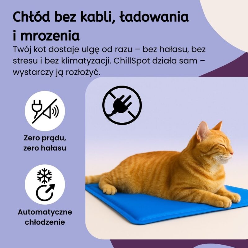 Kocia Oaza ChillSpot - obrazek 3