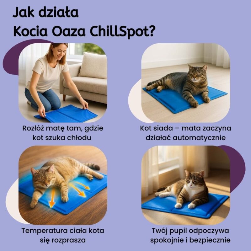 Kocia Oaza ChillSpot - obrazek 4