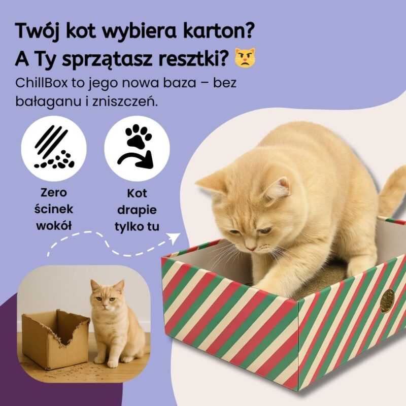 Karton Drapak ChillBox - obrazek 2