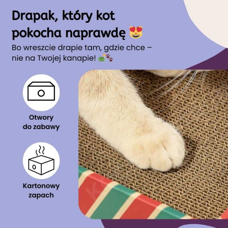 Karton Drapak ChillBox - obrazek 3