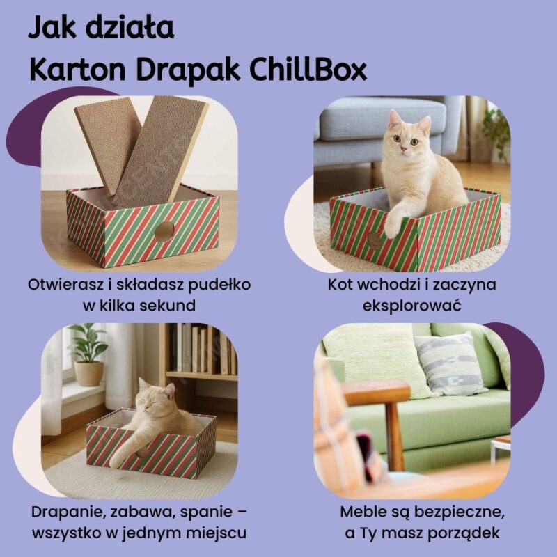 Karton Drapak ChillBox - obrazek 4