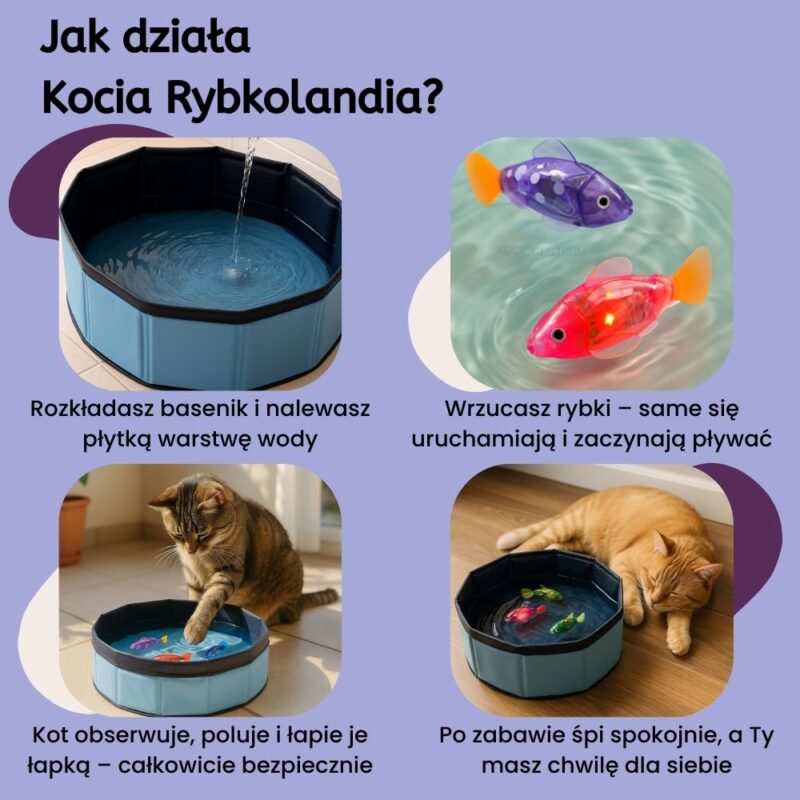 Kocia Rybkolandia - obrazek 3