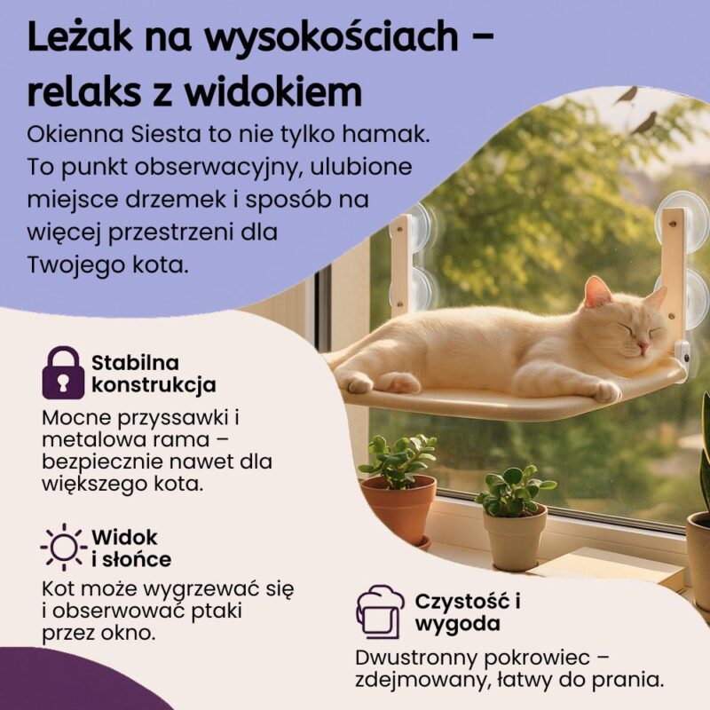 Okienna Siesta dla kota 2.0 - obrazek 3