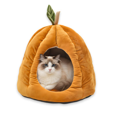 Jesienny Azyl PumpkinHouse