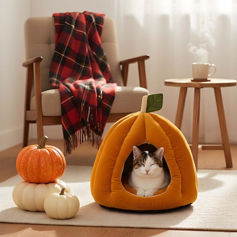 Jesienny Azyl PumpkinHouse - obrazek 10