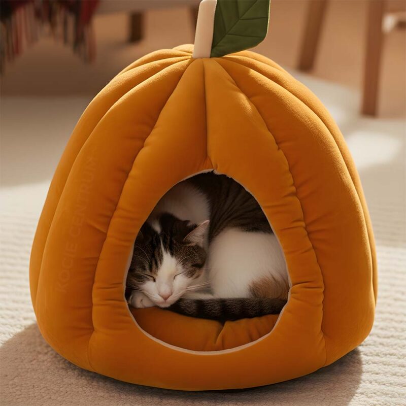 Jesienny Azyl PumpkinHouse - obrazek 2