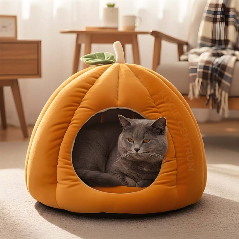 Jesienny Azyl PumpkinHouse - obrazek 6