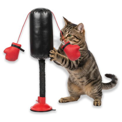 Koci Bokser PunchCat